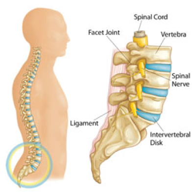 Back Pain treatment, back pain forest hills