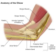 elbow pain treatment, elbow physical therapy