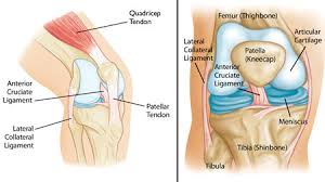 knee pain treatment, knee pain physical therapy